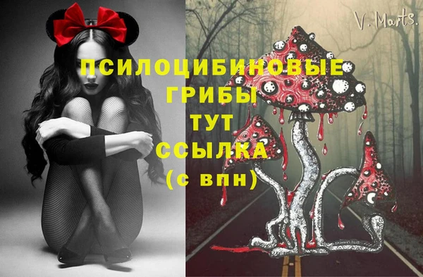 jwh Галич