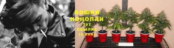 прущие грибы Остров