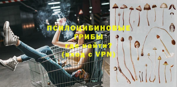 винт Нягань