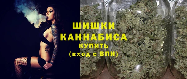 винт Нягань
