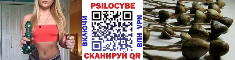 Галлюциногенные грибы ЛСД  Менделеевск 