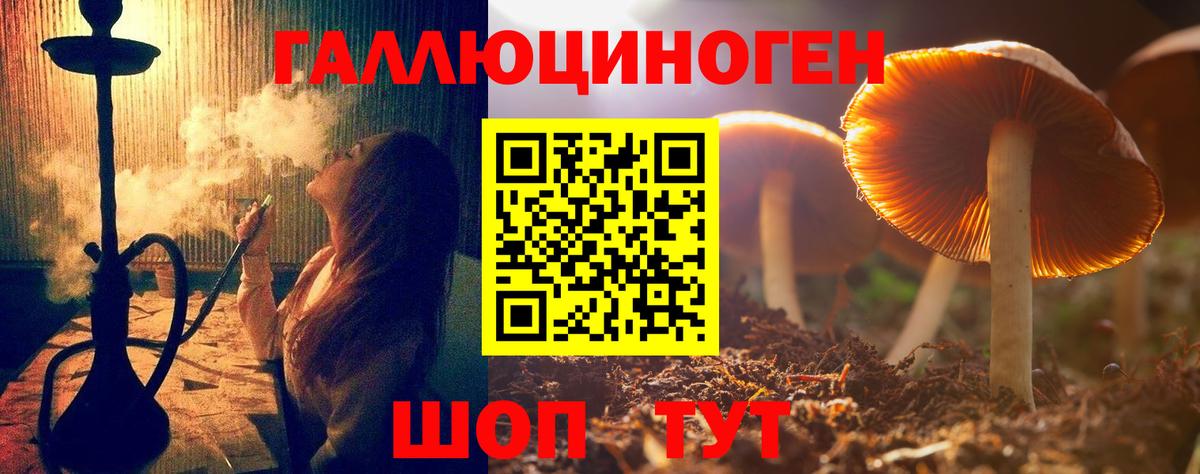 Псилоцибиновые грибы прущие грибы Менделеевск